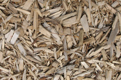 biomass boilers Widemarsh